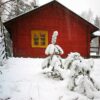 Green Window ☆– NUUKSIO 🇫🇮 - Image 5