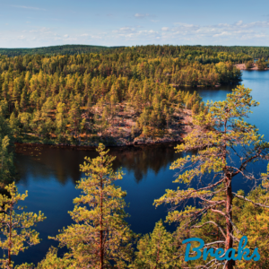 Suomalainen Luonto Tutuksi